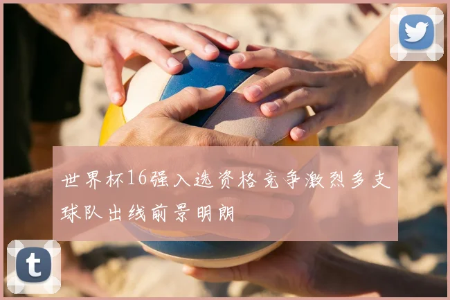 世界杯16强入选资格竞争激烈多支球队出线前景明朗