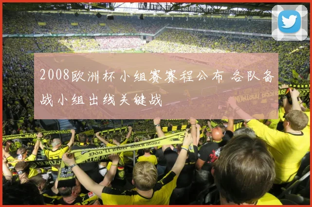 2008欧洲杯小组赛赛程公布 各队备战小组出线关键战