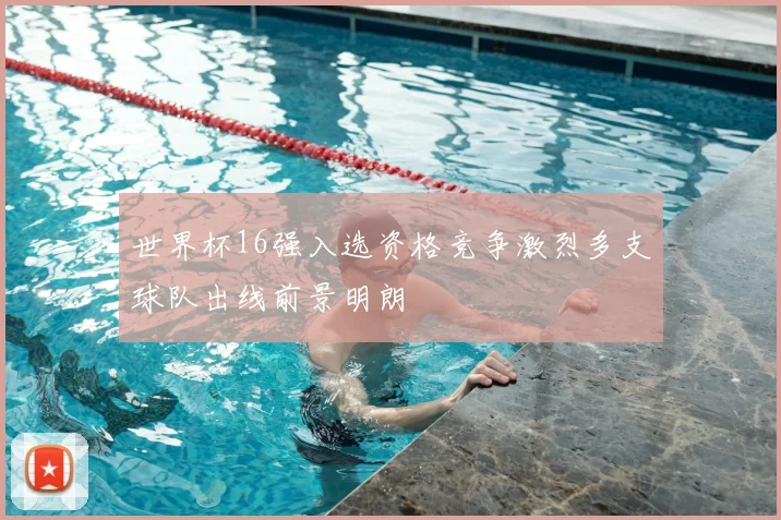 世界杯16强入选资格竞争激烈多支球队出线前景明朗
