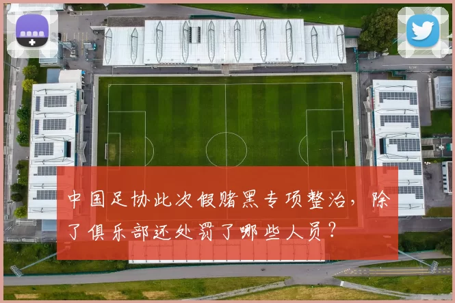 中国足协此次假赌黑专项整治,除了俱乐部还处罚了哪些人员?