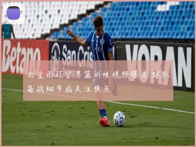 刘金雨辽宁男篮训练视频曝光 球队备战细节成关注焦点