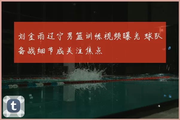 刘金雨辽宁男篮训练视频曝光 球队备战细节成关注焦点