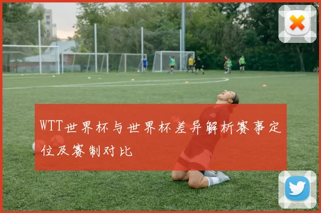 WTT世界杯与世界杯差异解析赛事定位及赛制对比