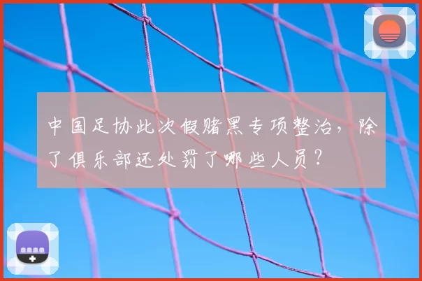 中国足协此次假赌黑专项整治,除了俱乐部还处罚了哪些人员?
