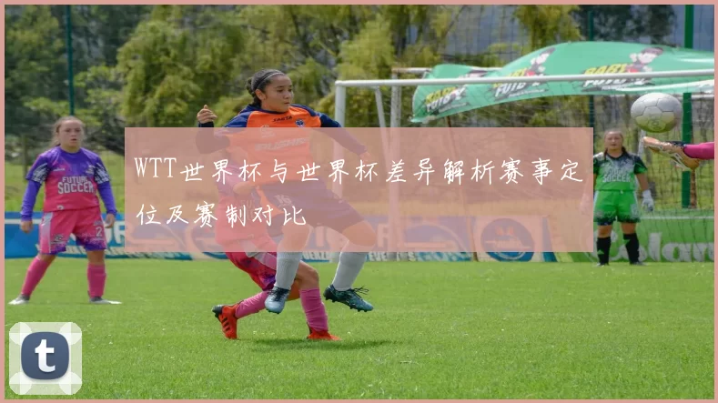 WTT世界杯与世界杯差异解析赛事定位及赛制对比