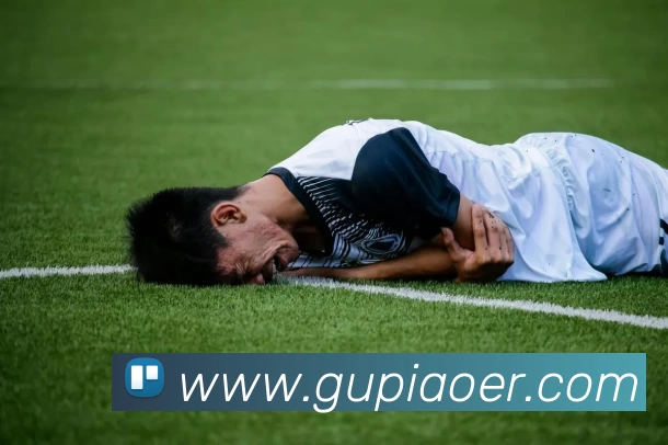 亚新官网app登录入口平台生态图